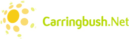Carringbush.Net, Melbourne based web hosting and computer services