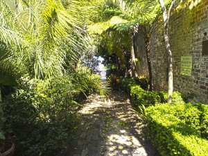 Side Garden at St Luke's Enmore