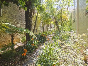 Side Garden at St Luke's Enmore