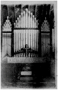Organ Image